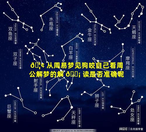 🦢 从周易梦见狗咬自己看周公解梦的解 🐡 读是否准确呢